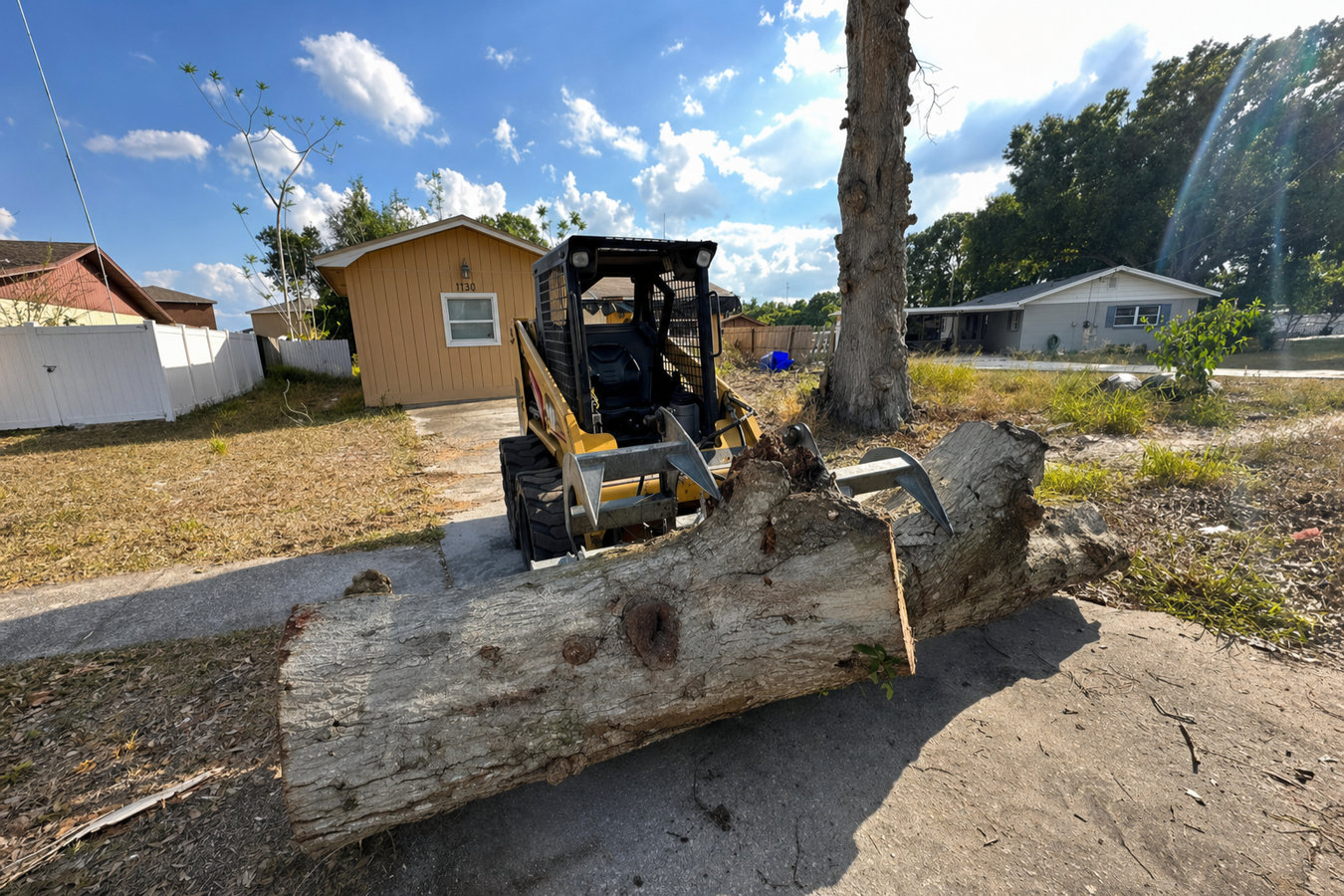 Land clearing in East San Gabriel, CA