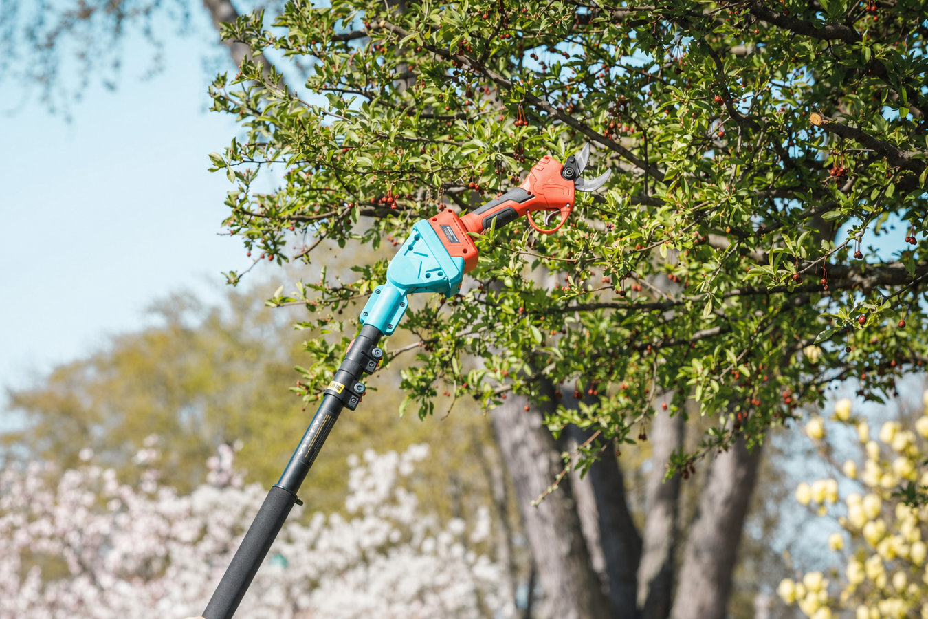 Tree pruning in East San Gabriel, CA